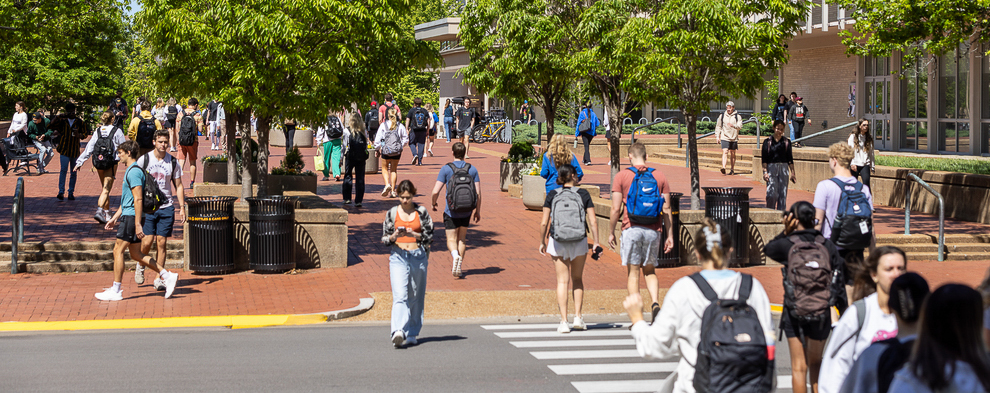 A photo of people walking through Lowry Mall