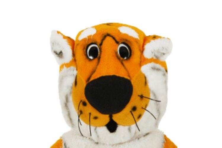 A photo of Truman the Tiger