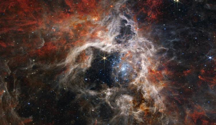 Tarantula Nebula photo