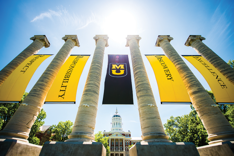 Jesse Hall columns