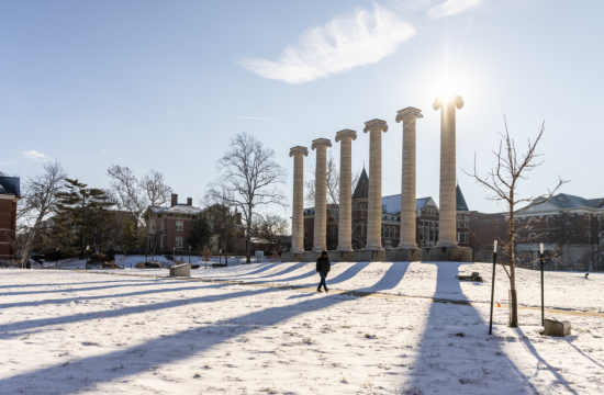 Winter Columns